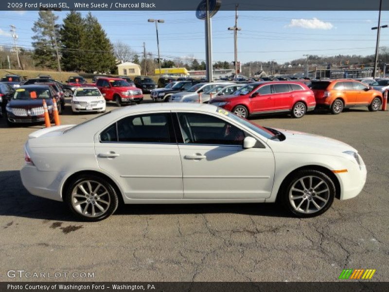 White Suede / Charcoal Black 2009 Ford Fusion SEL