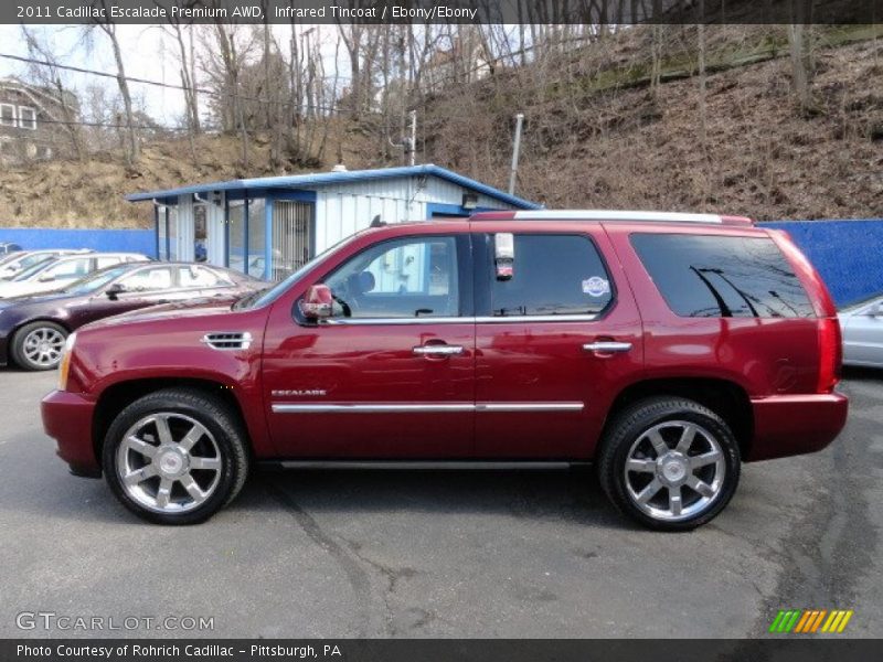 Infrared Tincoat / Ebony/Ebony 2011 Cadillac Escalade Premium AWD