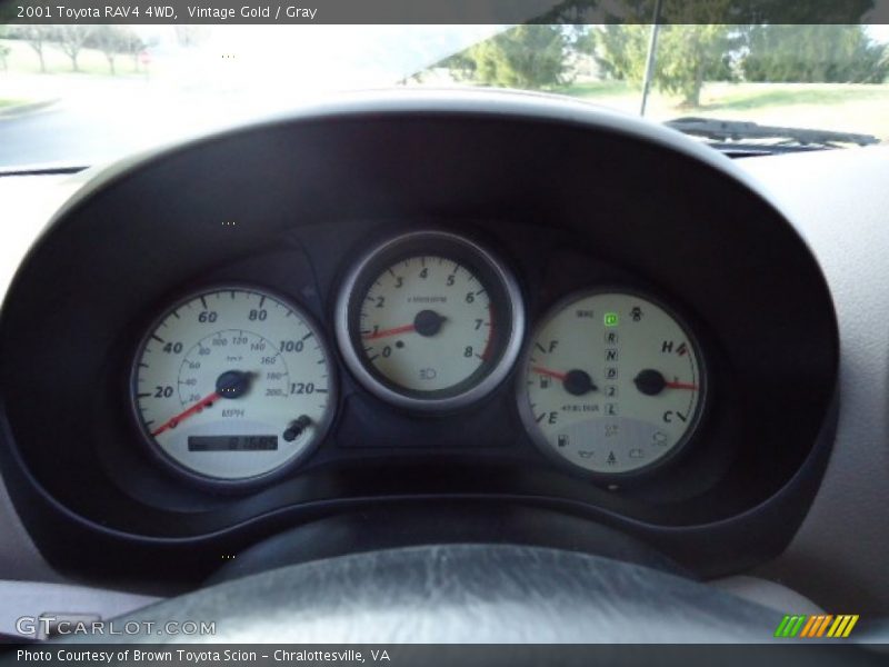 Vintage Gold / Gray 2001 Toyota RAV4 4WD