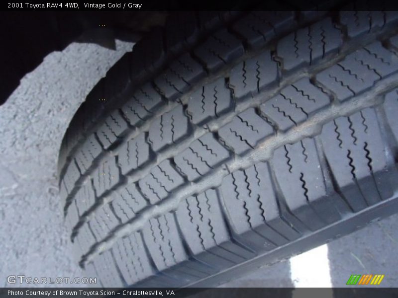 Vintage Gold / Gray 2001 Toyota RAV4 4WD