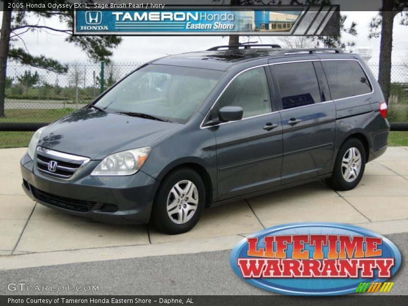 Sage Brush Pearl / Ivory 2005 Honda Odyssey EX-L
