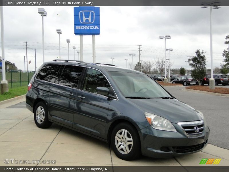 Sage Brush Pearl / Ivory 2005 Honda Odyssey EX-L