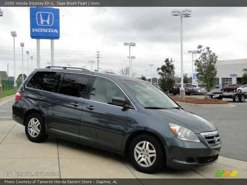 Sage Brush Pearl / Ivory 2005 Honda Odyssey EX-L