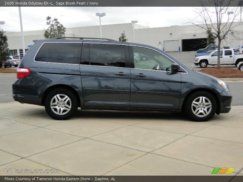 Sage Brush Pearl / Ivory 2005 Honda Odyssey EX-L