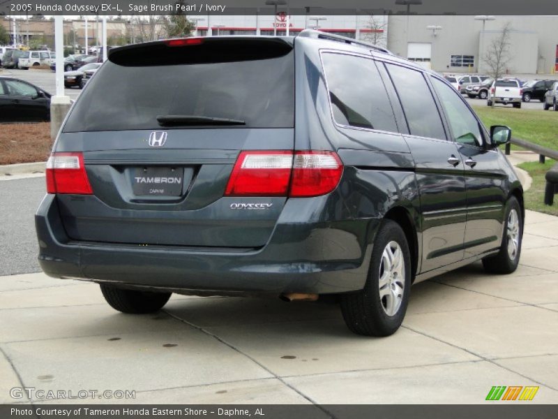 Sage Brush Pearl / Ivory 2005 Honda Odyssey EX-L