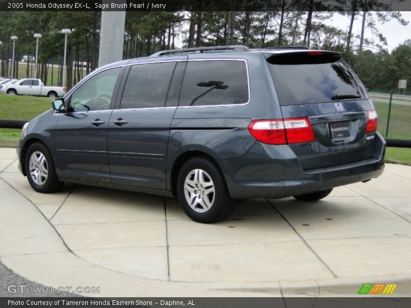 Sage Brush Pearl / Ivory 2005 Honda Odyssey EX-L