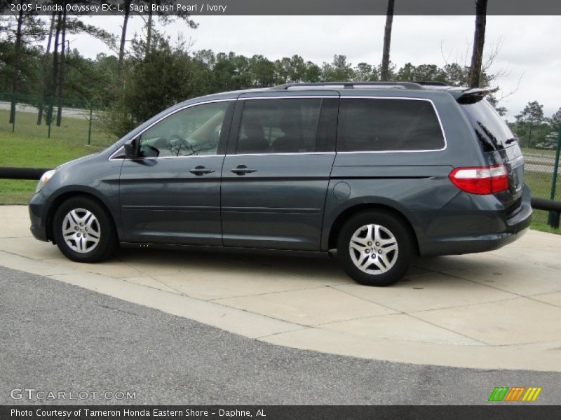Sage Brush Pearl / Ivory 2005 Honda Odyssey EX-L