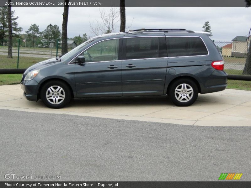 Sage Brush Pearl / Ivory 2005 Honda Odyssey EX-L