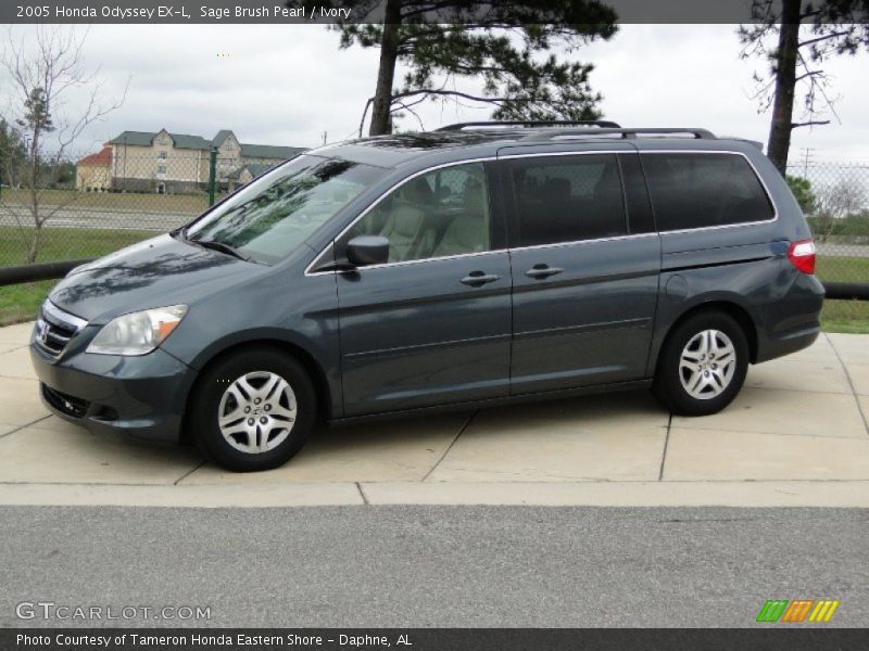 Sage Brush Pearl / Ivory 2005 Honda Odyssey EX-L