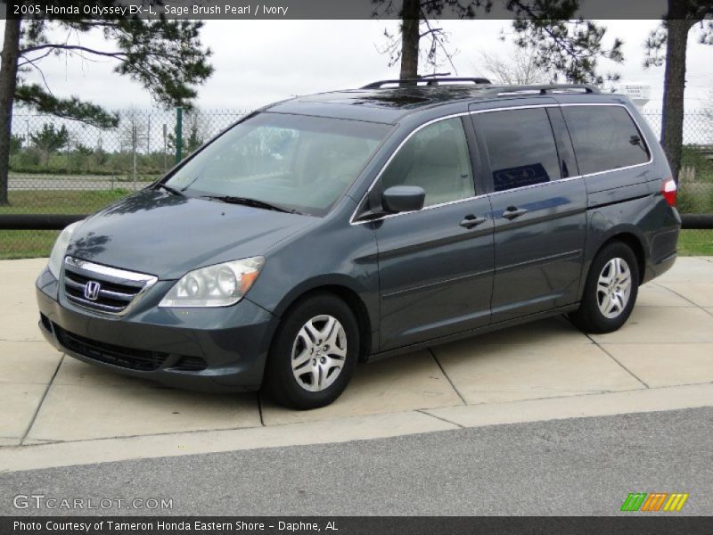 Sage Brush Pearl / Ivory 2005 Honda Odyssey EX-L