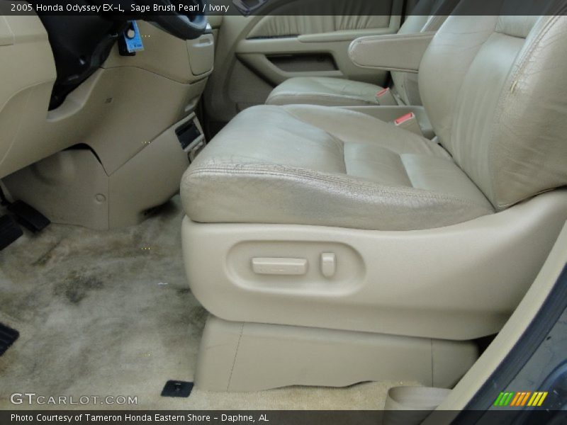 Sage Brush Pearl / Ivory 2005 Honda Odyssey EX-L