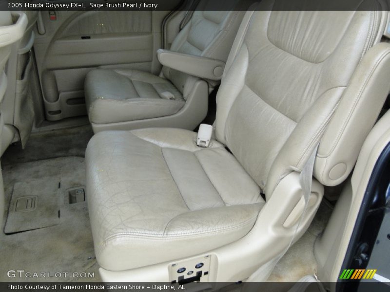 Sage Brush Pearl / Ivory 2005 Honda Odyssey EX-L