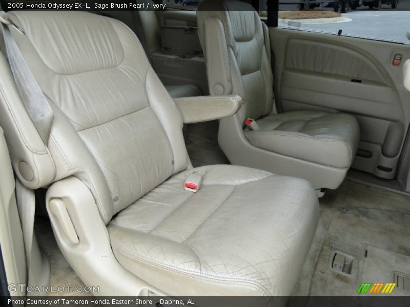 Sage Brush Pearl / Ivory 2005 Honda Odyssey EX-L
