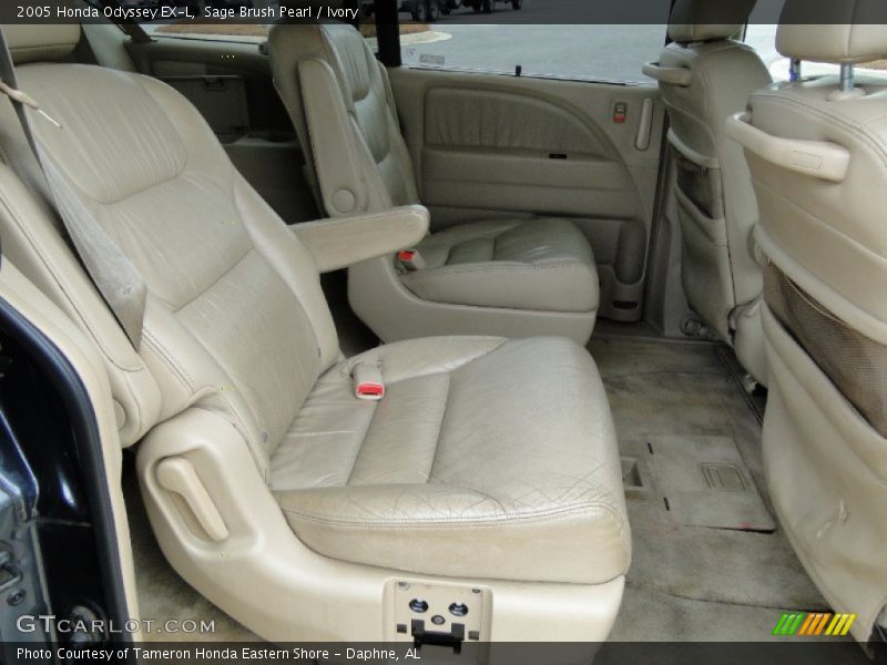 Sage Brush Pearl / Ivory 2005 Honda Odyssey EX-L