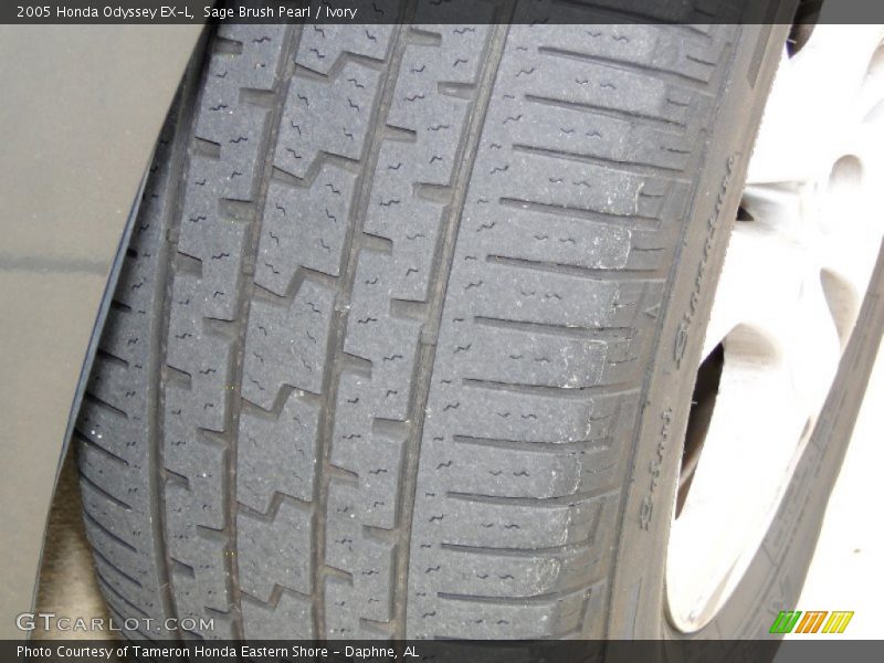 Sage Brush Pearl / Ivory 2005 Honda Odyssey EX-L