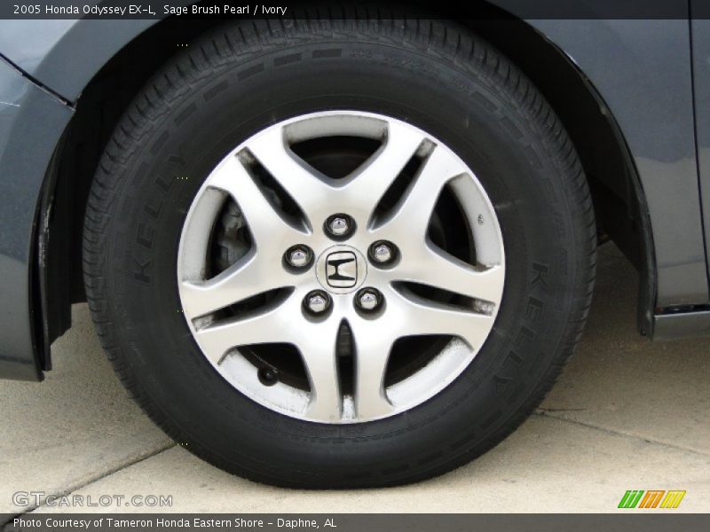 Sage Brush Pearl / Ivory 2005 Honda Odyssey EX-L