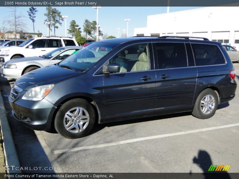 Sage Brush Pearl / Ivory 2005 Honda Odyssey EX-L