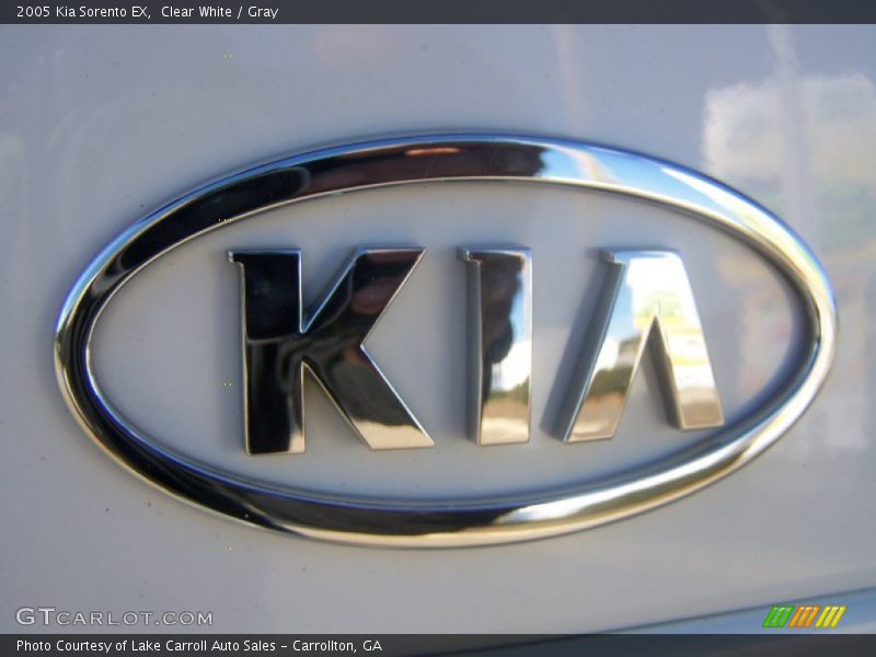 Clear White / Gray 2005 Kia Sorento EX