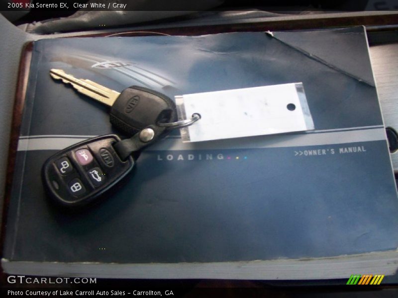 Clear White / Gray 2005 Kia Sorento EX
