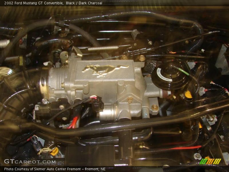 Black / Dark Charcoal 2002 Ford Mustang GT Convertible