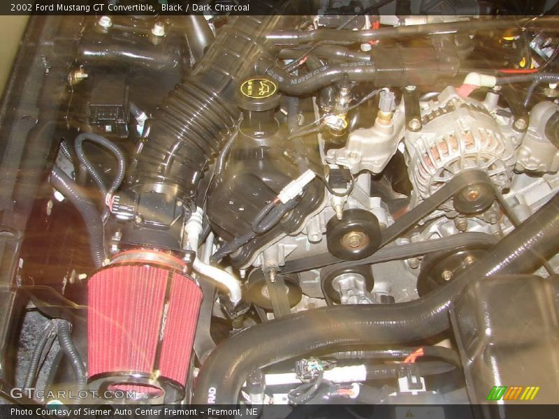 Black / Dark Charcoal 2002 Ford Mustang GT Convertible
