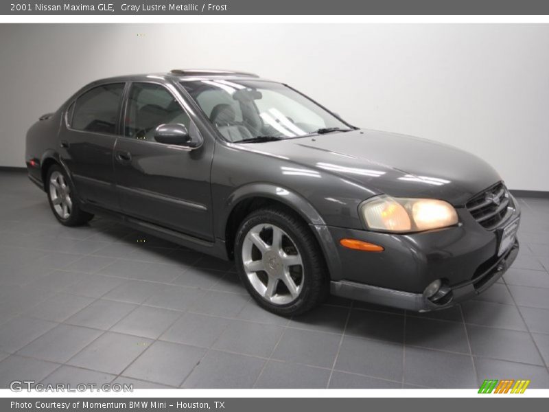 Gray Lustre Metallic / Frost 2001 Nissan Maxima GLE