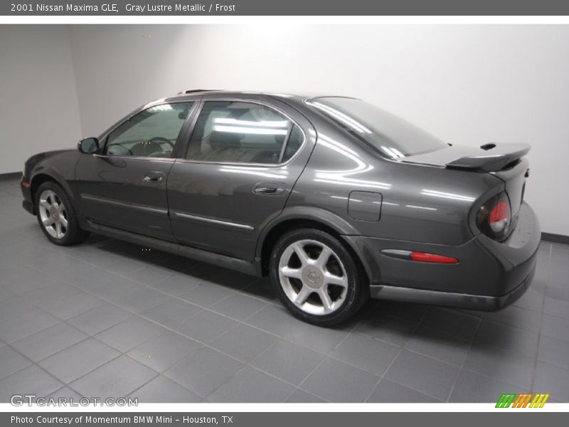 Gray Lustre Metallic / Frost 2001 Nissan Maxima GLE