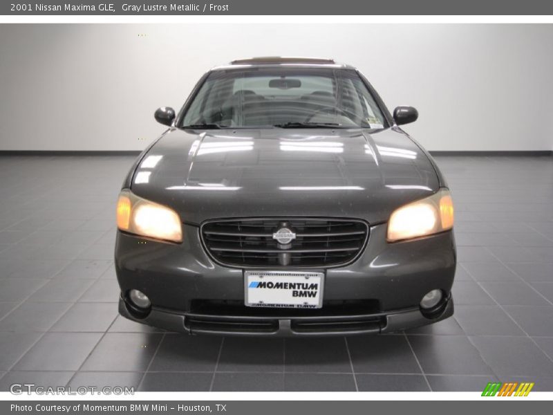 Gray Lustre Metallic / Frost 2001 Nissan Maxima GLE