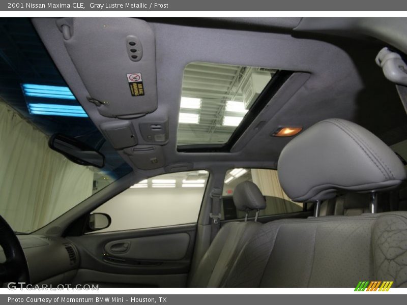 Gray Lustre Metallic / Frost 2001 Nissan Maxima GLE