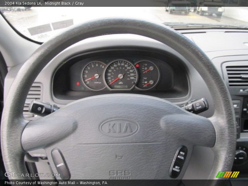 Midnight Black / Gray 2004 Kia Sedona LX