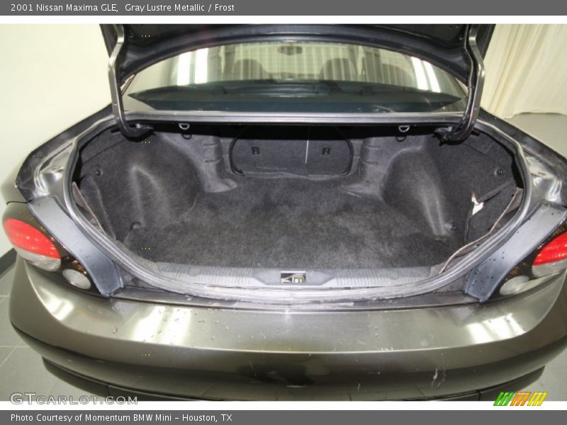Gray Lustre Metallic / Frost 2001 Nissan Maxima GLE