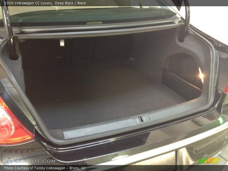 Deep Black / Black 2009 Volkswagen CC Luxury