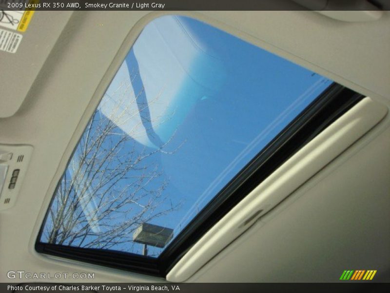 Smokey Granite / Light Gray 2009 Lexus RX 350 AWD