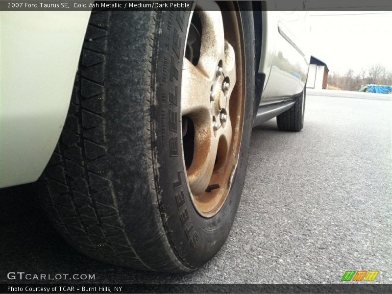 Gold Ash Metallic / Medium/Dark Pebble 2007 Ford Taurus SE