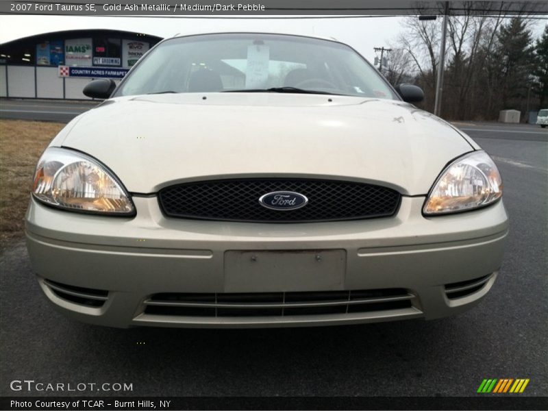 Gold Ash Metallic / Medium/Dark Pebble 2007 Ford Taurus SE