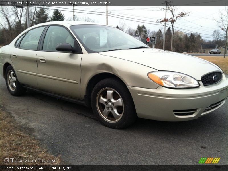 Gold Ash Metallic / Medium/Dark Pebble 2007 Ford Taurus SE