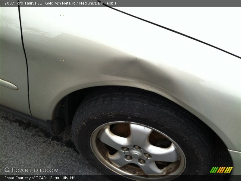 Gold Ash Metallic / Medium/Dark Pebble 2007 Ford Taurus SE