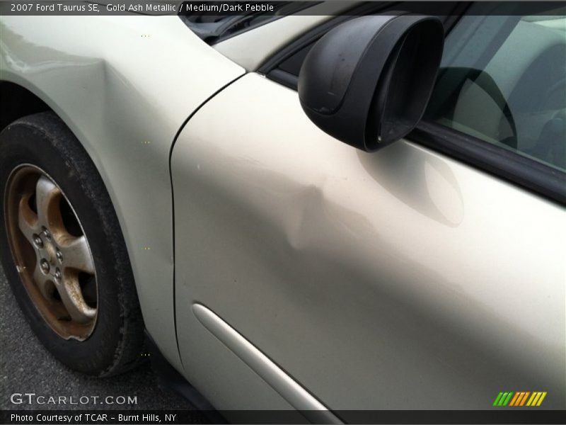 Gold Ash Metallic / Medium/Dark Pebble 2007 Ford Taurus SE