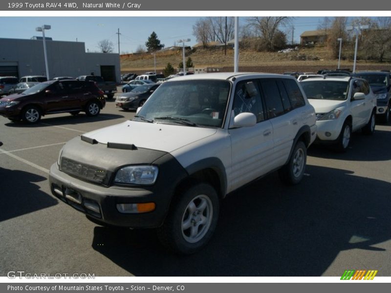 Natural White / Gray 1999 Toyota RAV4 4WD