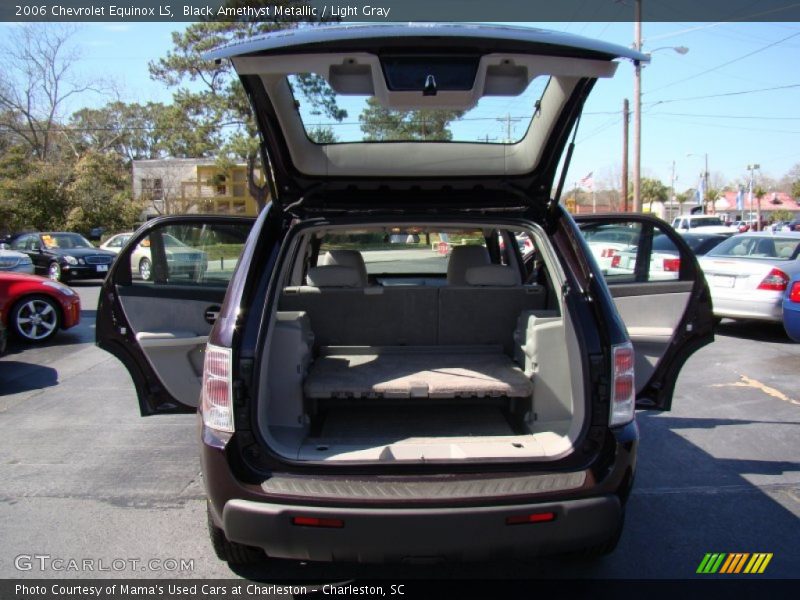 Black Amethyst Metallic / Light Gray 2006 Chevrolet Equinox LS