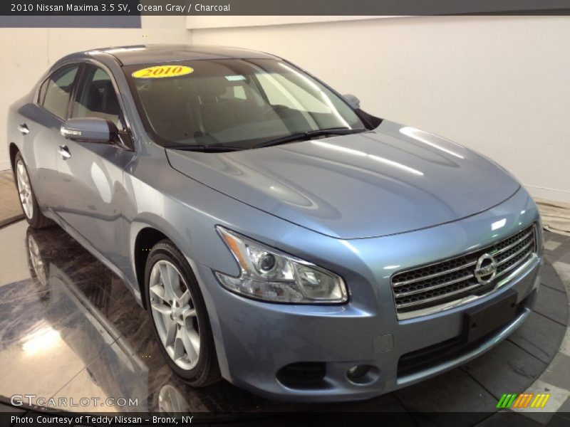 Ocean Gray / Charcoal 2010 Nissan Maxima 3.5 SV