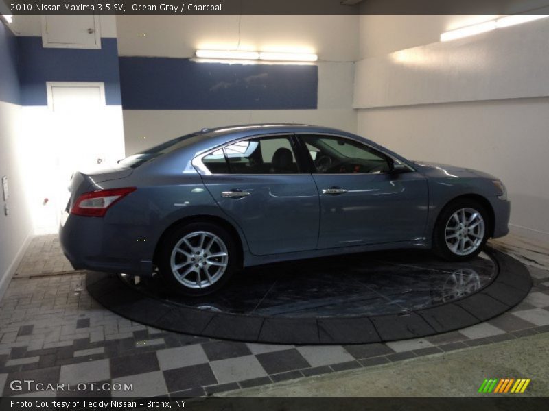 Ocean Gray / Charcoal 2010 Nissan Maxima 3.5 SV