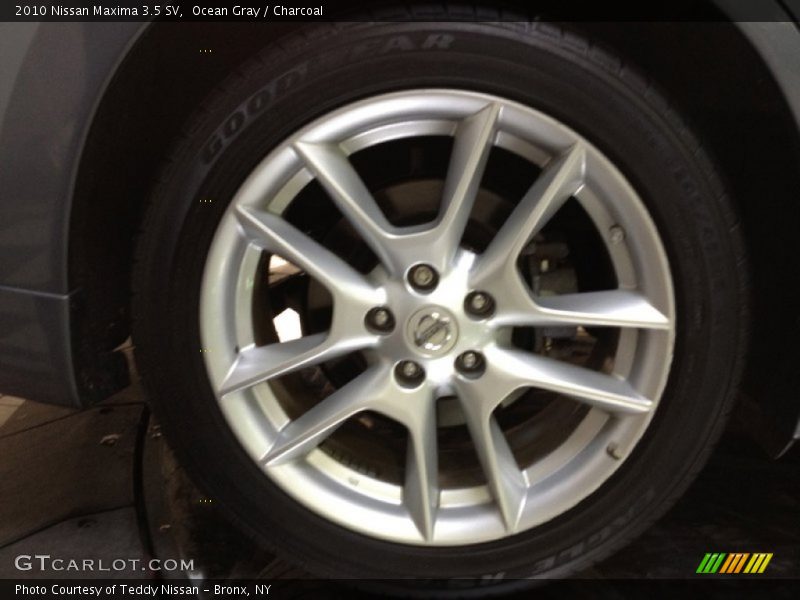 Ocean Gray / Charcoal 2010 Nissan Maxima 3.5 SV