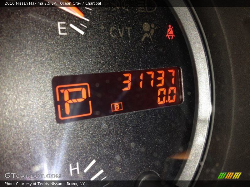 Ocean Gray / Charcoal 2010 Nissan Maxima 3.5 SV