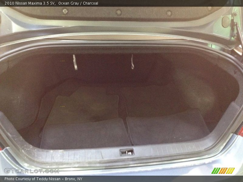 Ocean Gray / Charcoal 2010 Nissan Maxima 3.5 SV