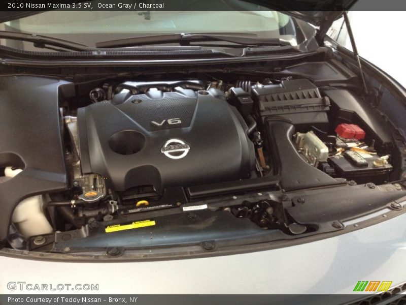 Ocean Gray / Charcoal 2010 Nissan Maxima 3.5 SV