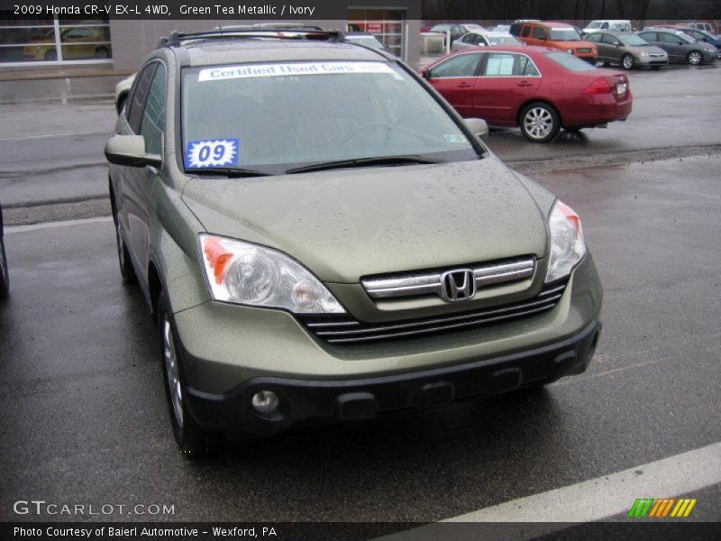 Green Tea Metallic / Ivory 2009 Honda CR-V EX-L 4WD