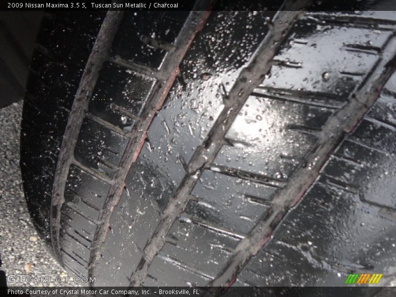 Tuscan Sun Metallic / Charcoal 2009 Nissan Maxima 3.5 S