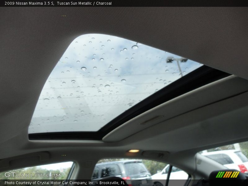 Tuscan Sun Metallic / Charcoal 2009 Nissan Maxima 3.5 S