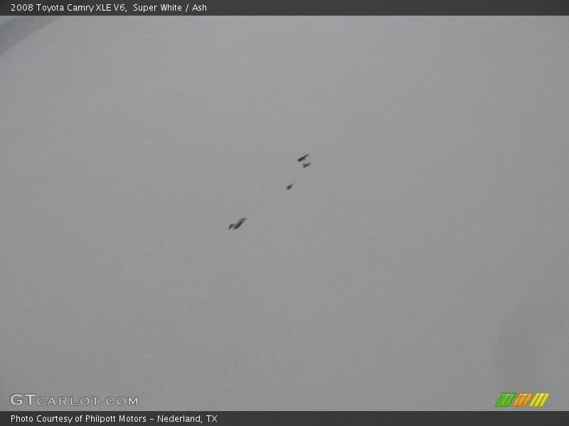 Super White / Ash 2008 Toyota Camry XLE V6